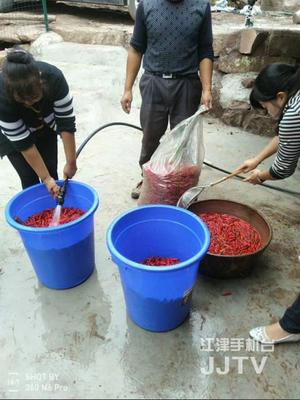 身手不凡的'四屏亲戚' 科技助力初级农产品收购，精准帮扶贫困户增收