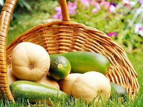 立足田间地头，胸怀星辰大海 农产品电商创业者的心态修炼与收购之道