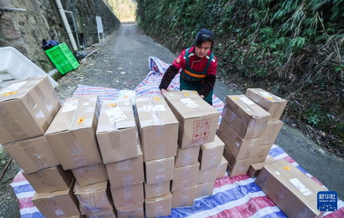 浙江淳安 传统农产品走俏年货市场，山珍好味带动农副产品销售热潮