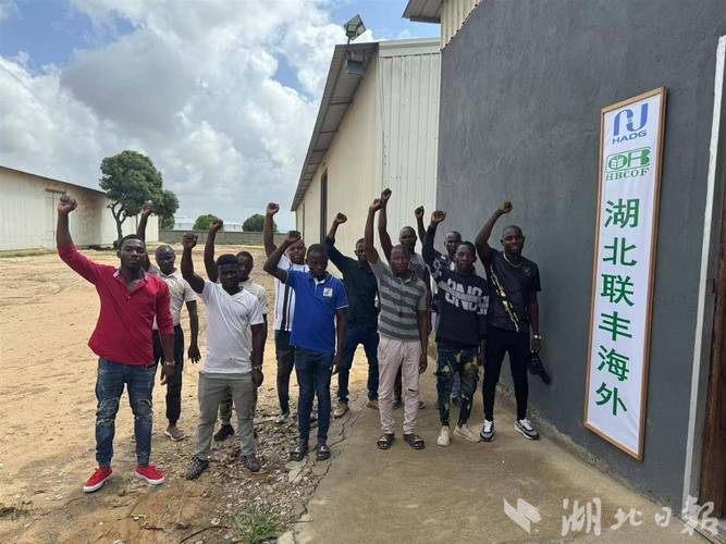 联丰海外莫桑比克农产品初级加工基地 打通初级农产品收购的产业链关键一环