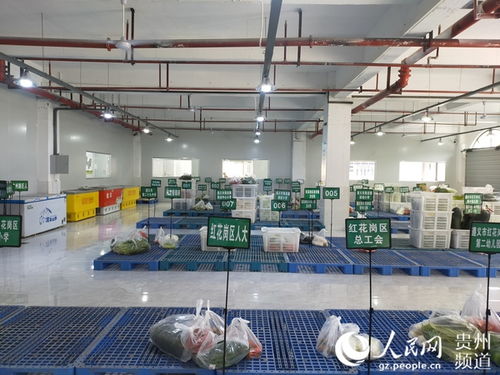 红花岗区农产品产销对接智慧服务中心首日运营成效显著，发货量达40余吨